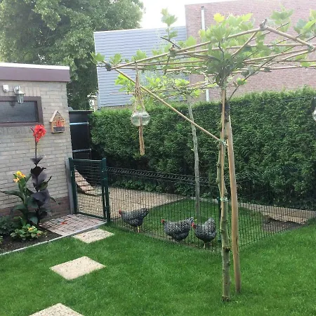 Bed & Breakfast St Martinus Vijlen